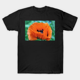 Red Poppy T-Shirt